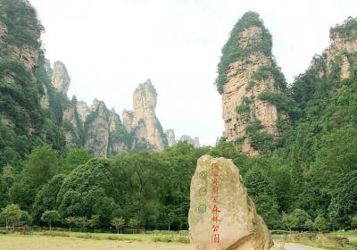 走湘西——張家界、鳳凰古城游記(一)